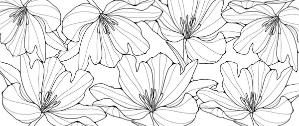 Foto Fiori Bianco Nero Colorazione Sfondo Floreale Libri Colorare Sfondi — Vettoriale Stock
