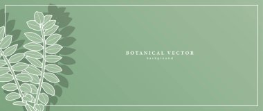 Bitki dalları olan yeşil minimalist tropikal botanik arka plan. Dekor, duvar kağıtları, kartpostallar, diplomalar, kapaklar ve sunumlar için soyut mono arkaplan.