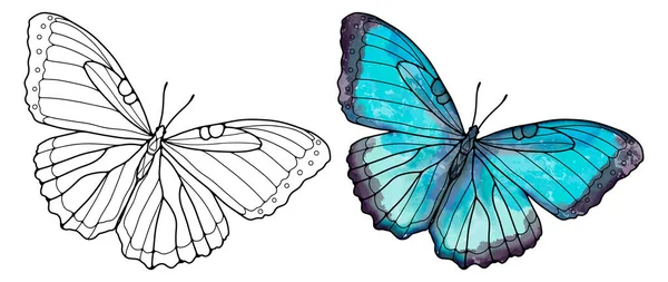 Контур Метелика Кольоровий Синій Метелик Білому Тлі Метелик Декору Шпалери — стоковий вектор