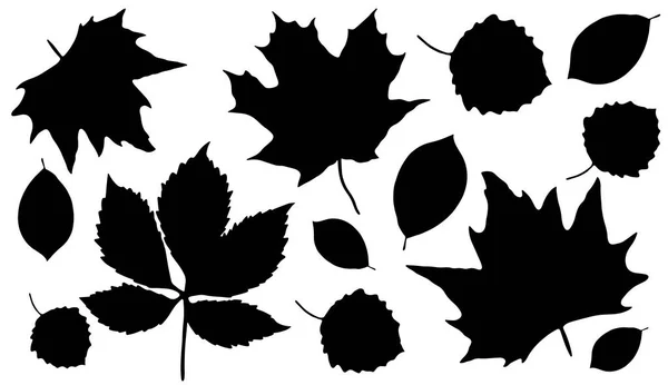 Set Von Silhouetten Verschiedener Blätter Auf Weißem Hintergrund Blätterschatten Dekorationsobjekte — Stockvektor