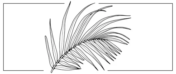 Černý Obrys Ohnutého Palmového Listu Bílém Pozadí Botanický Objekt Pro — Stockový vektor