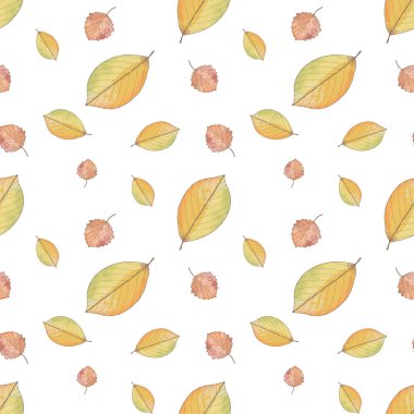 Beyaz arka planda sarı ve kırmızı yapraklı sonbahar pürüzsüz deseni. Tekstil, ambalaj kağıdı, kapak, arka plan, duvar kağıtları için desen.