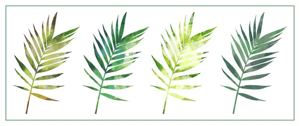 Set Four Tropical Branches Leaves Watercolor Technique White Background Objects — Stock Vector
