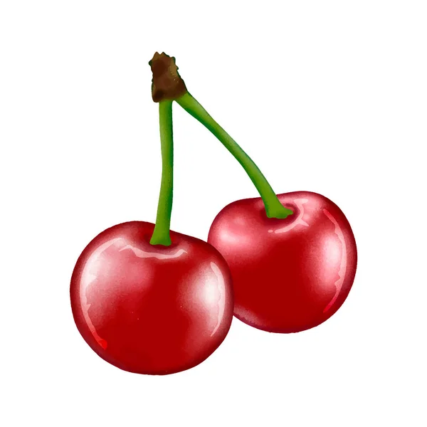 成熟的红色樱桃 白色背景 甜樱桃 创造各种图案和图案 用于创建广告创意 包装的红莓 — 图库矢量图片