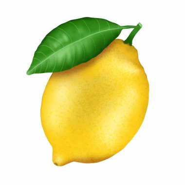 Gerçekçi el çizimi sarı limon beyaz arka planda izole. Dekorasyon için turunçgiller, reklam yaratıcıları, tasarımlar ve desenler, sosyal medya paylaşımları.