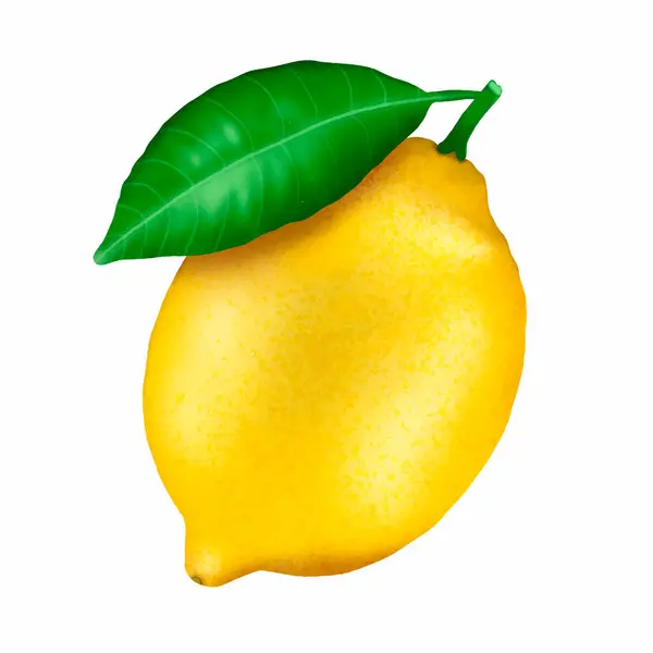 Realisztikus Kézzel Rajzolt Sárga Citrom Elszigetelt Fehér Háttér Citrusfélék Dekorációhoz — Stock Vector