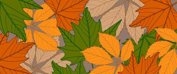 Яркий Осенний Ботанический Фон Различными Листьями Фон Декора Обои Обложки — стоковый вектор