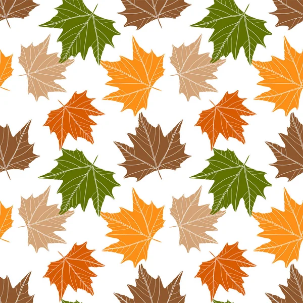 Осенний Бесшовный Узор Красочными Листьями Клена Белом Фоне Ботанический Рисунок — стоковый вектор