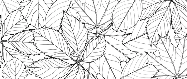 具有不同叶子的黑色和白色植物背景 卡片和邀请函 文凭的着色背景 — 图库矢量图片