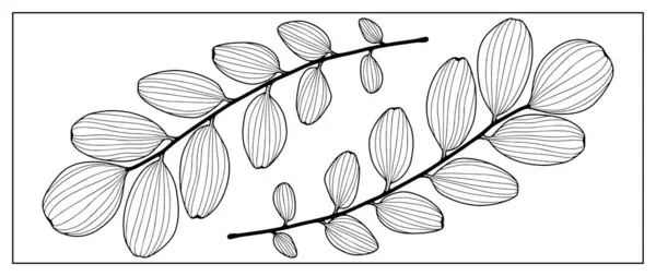 배경에 잎이있는 부드러운 가지의 착색을위한 다양한 디자인 프레젠테이션 만들기 — 스톡 벡터