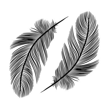 Tüylü siyah beyaz el çizimi vektör çizimi. Beyaz arkaplanda siyah tüyler.