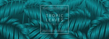 Canavar yapraklı lüks turkuaz tropikal tasarım. Botanik kartı, arkaplan, duvar kağıdı, poster, afiş.