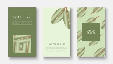 Hikayeler, kapaklar, posterler ve afişler için lüks botanik yeşil tasarım şablonları. Altın yapraklı botanik arka plan.