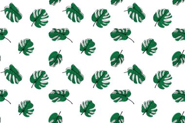 Yeşil canavar yapraklı tropik yaz vektörü deseni.