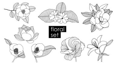 Beyaz arka planda izole edilmiş çeşitli el çizimi çiçekler. Renklendirme için çiçek taslağı.