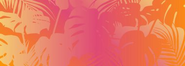 Canavar yapraklı tropik vektör arka planı. Dekor, duvar kağıdı ve kapaklar için botanik illüstrasyon.