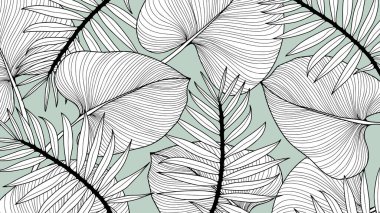 Soyut yeşillik ve botanik geçmişi. Yeşil tropikal orman duvar kağıdı canavar yaprakları, palmiye yaprakları, elle çizilmiş dallar. Pankart, baskı, dekor, duvar sanatı için egzotik bitkiler.
