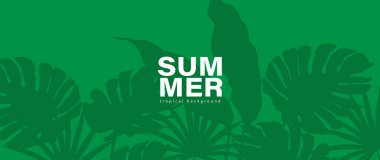 Canavar yaprakları, muz yaprakları ve diğer tropikal bitkilerle dolu parlak bir tropikal arka plan. Botanik vektör illüstrasyonu