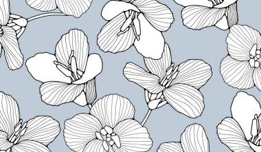 Elle çizilmiş siyah ve beyaz çiçekli nazik mavi bir çiçek posteri. Vektör çiçek illüstrasyonu.