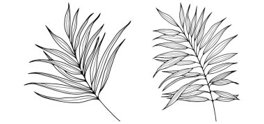 Siyah ve beyaz el çizimi vektör botanik çizimi. Yapraklı dalların birleşimi.