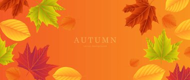 Sınırları sonbahar dekoratif yapraklarıyla donatın. Turuncu, kahverengi ve kırmızı yapraklar düz bir şekilde çiziliyor. Orman yapraklarıyla sonbahar arkaplanı. Turuncu arkaplanda izole edilmiş vektör illüstrasyonu.