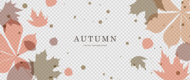 Şeffaf sonbahar yeşilliği arka planı. Kestane yaprakları, akçaağaç ve diğer ağaçlar. Sonbahar vektör illüstrasyonu veya çerçeve