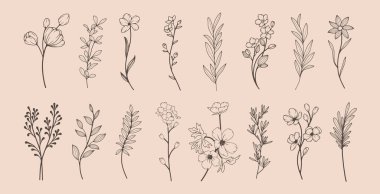 Sanat tarzında basit narin el yapımı çiçekler, yapraklar ve dallar koleksiyonu. Bej arkaplan üzerindeki trend vektör botanik çizimi