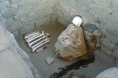 Chauchilla Mezarlığı 'ndaki mumya kafatası ve kemikleri. Prehispanik mumyalanmış insan kalıntıları ve arkeolojik eserler, Nazca, Peru, Güney Amerika