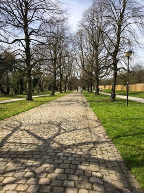 Cobblestone pedestrian pathway with shadow of trees, Alden-Biesen, Belgium, Europe