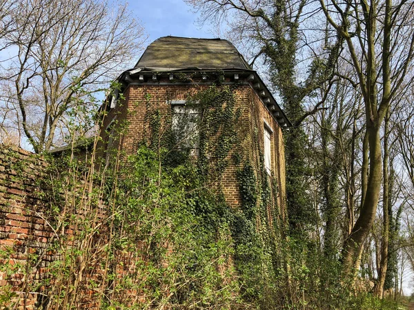Hidden old house covered by ivy and surrounded by trees, Belgium, Europe