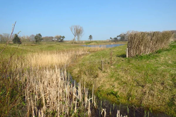 Lake and river flowing through green polder landscape, Het Zwin nature reserve, Knokke, Belgium, Europe