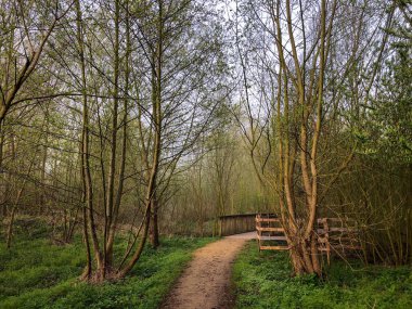 Hiking trail in forest walking up to a bridge, Waremme, Belgium, Europe