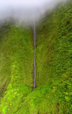 Puslu bulutlarla kaplı yemyeşil dağ tepesinden akan şelale, helikopterin havadan görünüşü, Na Pali Coast Wilderness Park, Kauai, Hawaii, ABD