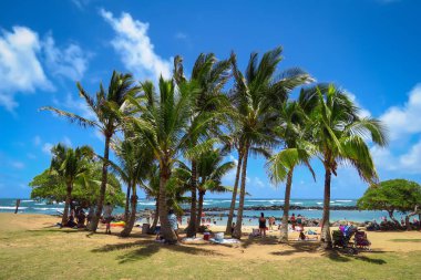 Cennette tatil. Aileler sahilde yüzüyor, Lydgate Plaj Parkı 'ndaki palmiye ağaçlarının altında dinleniyor.