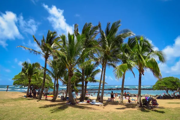 Holiday in paradise. Families enjoying the beach, swimming in the sea, relaxing under palm trees at Lydgate Beach Park