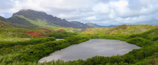 パノラマ風景メネフネ魚池夏のアレクコ魚池 リフエ近く カウアイ島 ハワイ — ストック写真