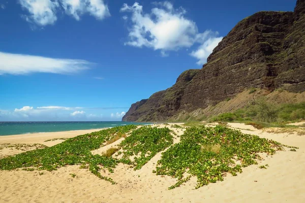 Remote Beach Polihale State Park Kauai Hawaii Usa — Stock Photo, Image