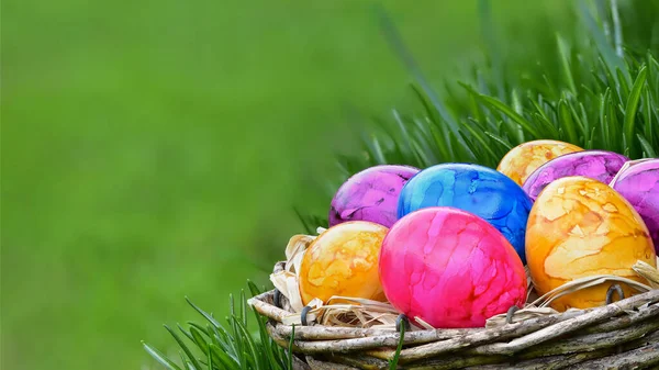 Renkli boyalı Paskalya yumurtaları. İlkbaharda dışarıda, sepetin içinde. Kopya alanı..