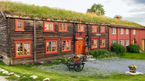 Çimen çatılı geleneksel ahşap evler, tarihi Roros kasabası, Norveç, İskandinavya. Avrupa seyahati. UNESCO Dünya Mirası.