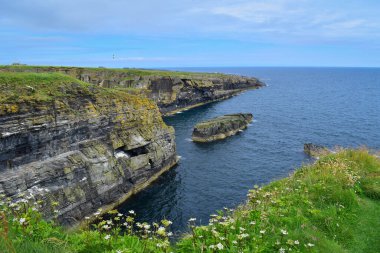 Old Wick, İskoçya, Birleşik Krallık, Avrupa yakınlarındaki sahilde sarp kayalıklar, kayalar ve deniz kuşları
