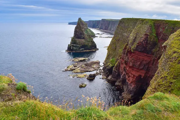 Duncansby Kafa Yığını. Büyük pürüzlü deniz yığınları, doğal merak ve İskoçya 'nın ünlü turistik cazibesi. John O Groats 'un yanında. Birleşik Krallık 'ı keşfetmek; Avrupa' yı gezmek
