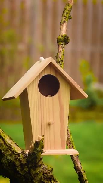 Great Tit Parus Major Jumps Birdfeeder House Peck Food Vertical — стокове відео