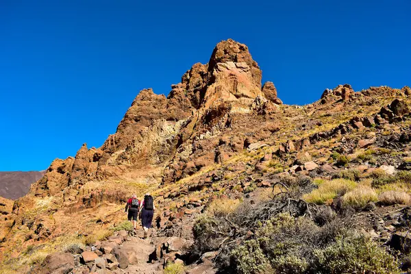 Tenerife, İspanya - 27 Aralık 2023: Roques de Garcia döngü patikasında yürüyen yürüyüşçüler, sıcak güneşli bir günde Tenerife Ulusal Parkı, Kanarya Adalarını keşfetmek, İspanya 'yı keşfetmek, Avrupa' yı gezmek