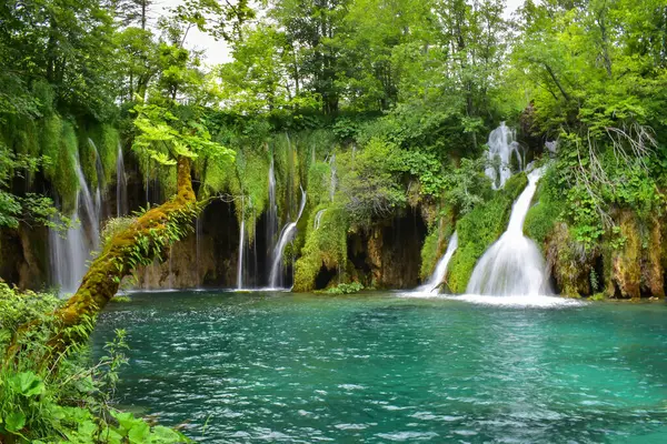 Plitvice Lakes Ulusal Parkı şelalelerinde ipek gibi yumuşak su. Yeşiller ve maviler yemyeşil, Hırvatistan 'ın simgesi, Avrupa seyahati. Yavaş kepenk.