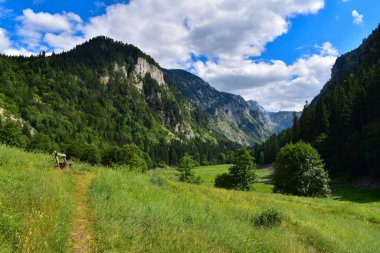 Green valley and mountains landscape in Durmitor National Park,  dried out susicko jezero lake. Natural beauty in Montenegro, discover the Balkans, travel Europe clipart