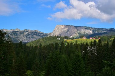 Avrupa 'da çam ormanı ve dağ manzarası Durmitor Milli Parkı' nın kalbinde Zabljak, Karadağ 'ı keşfetmek, Balkanlar' ı keşfetmek, yazın Avrupa 'yı gezmek.