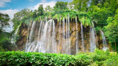 Plitvice Gölleri Ulusal Parkı 'ndaki ünlü şelale, Hırvatistan' ın güzel doğası. Balkanları keşfetmek, Avrupa 'yı gezmek. İpeksi yumuşak su için uzun pozlama.