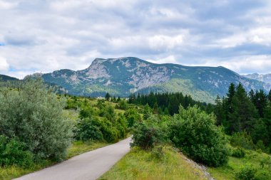 Durmitor Ulusal Parkı 'ndaki panoramik rota 2 dağ manzarasına çıkıyor, Balkanlar' ı keşfediyor, Avrupa 'yı geziyor.