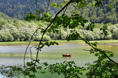Biograd Gölü 'nde kayık, Biogradska Gora Ulusal Parkı' nda eğlence etkinliği, Kolasin, Karadağ manzarası, Balkanlar 'ı keşfetmek, Avrupa' yı gezmek