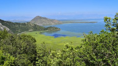 Skadar Gölü Natiional Park manzarası yazın. Güzel manzaralı doğa. Karadağ tarihi kent simgesi, Balkanlar 'ı keşfetmek, Avrupa' yı gezmek
